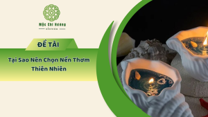 Hình ảnh minh họa