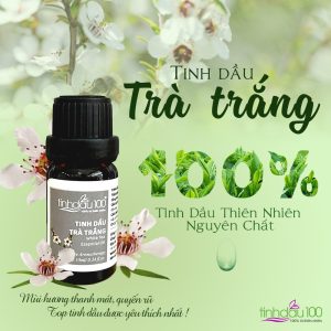 Tinh dầu thiên nhiên nguyên chất!
