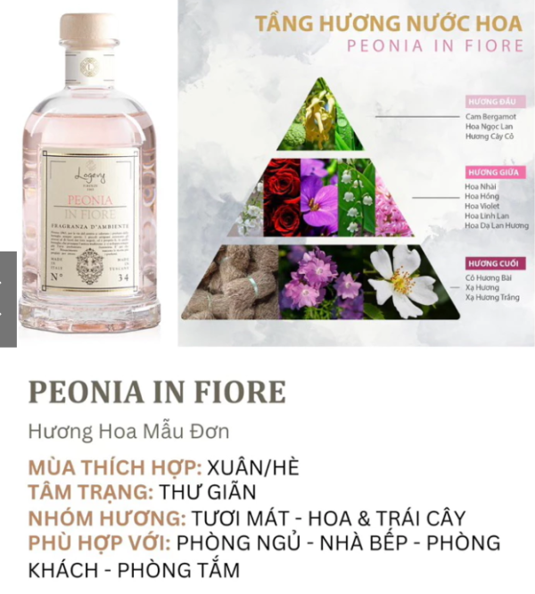 Tinh Dầu Hoa Anh Đào (Cherry Blossom)Mộc Chi Hương - Hình ảnh 5
