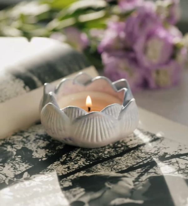 Tinh Dầu Trà Trắng (White Tea) Mộc Chi Hương - Hình ảnh 3