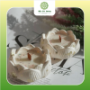 Trà Trắng (White Tea) Mộc Chi Hương